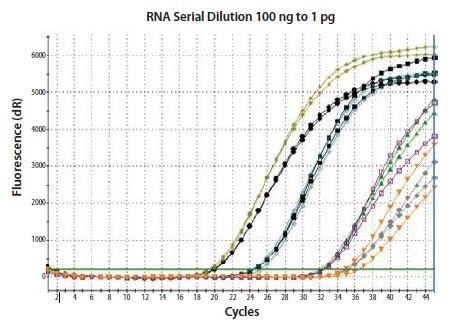Total RNA was diluted through 100-fold and reverse transcribed using two-step random priming; two independent RT reactions were performed. β-actin was detected in duplicate qPCRs for each RT reaction.