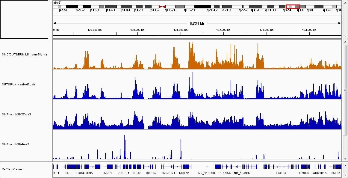 sequence results for ChIC and CUT&RUN assay