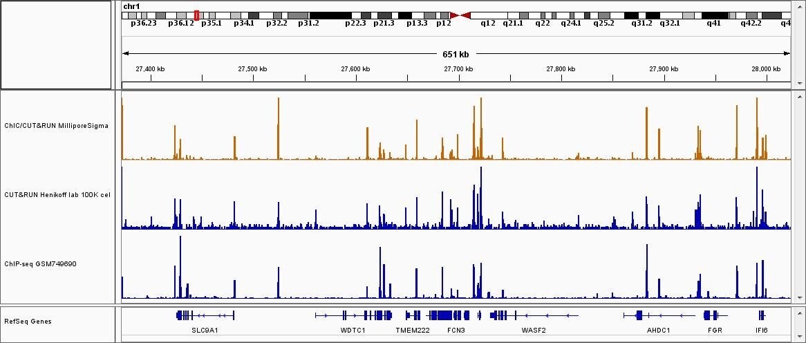 Sequence results of ChIC/CUT&RUN assay