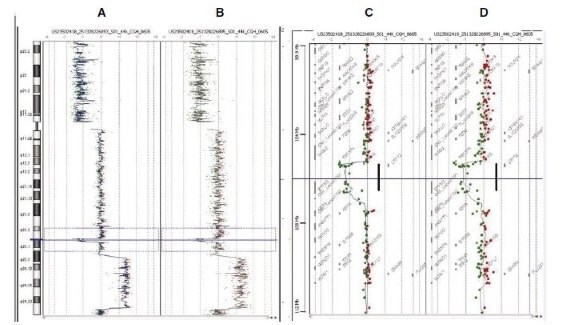 CGH Analytics ideograms illustrating data from Agilent Human Genome CGH 44B microarrays