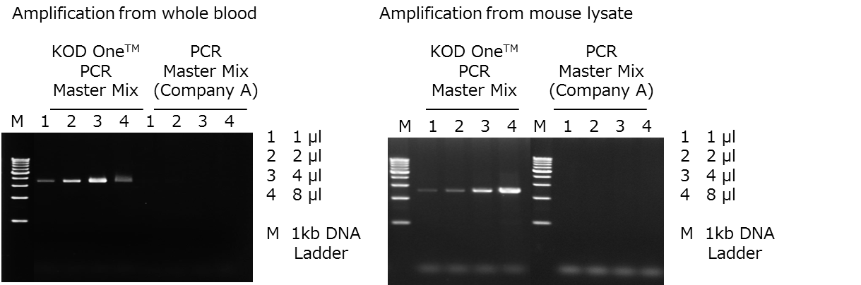 KOD One™ PCR Master Mix is effective for direct PCR amplification of crude samples such as biological samples, food samples, soil extract, etc.