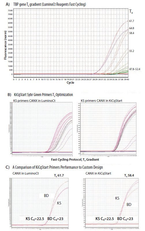 Primer optimization using Ta.