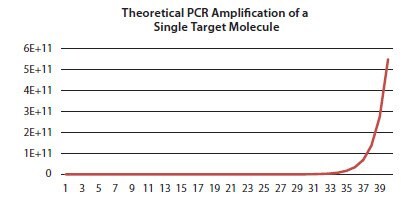 在理论PCR中，靶扩增子的量随每个循环加倍，导致靶序列以指数扩增（X轴显示PCR循环，Y轴显示扩增子分子的总数）。