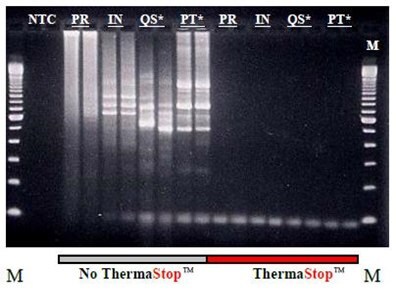 Universal Hot Start Reagent