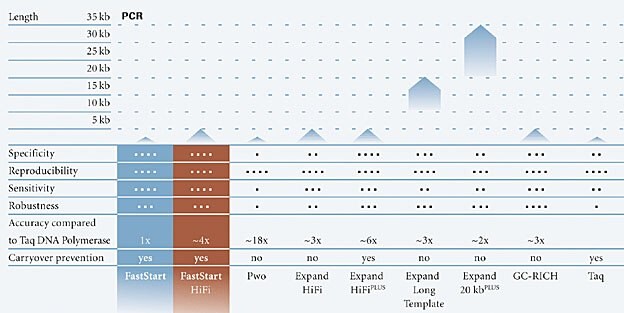 Application profile of PCR enzymes