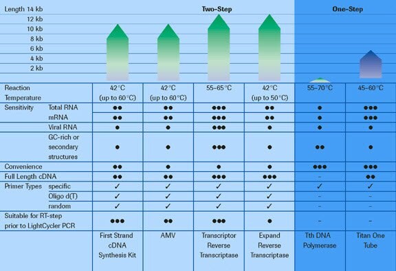 Application profiles of RT-PCR enzymes and kits provided by Roche.