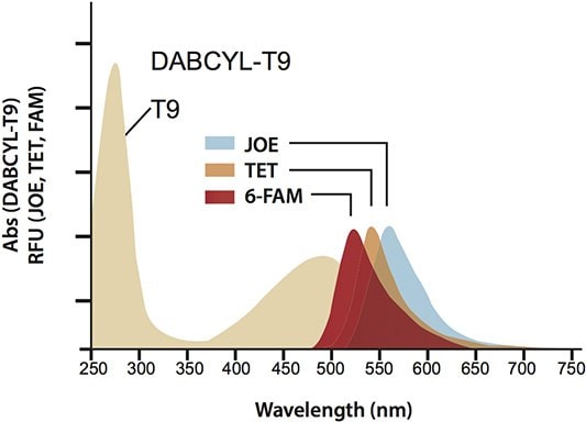 Absorption spectra of DABCYL-T9