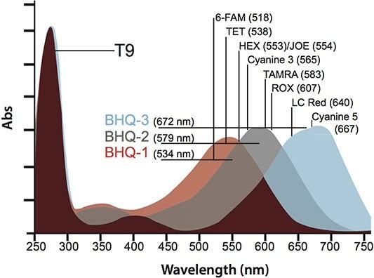 Absorption spectra of the three BHQ variants