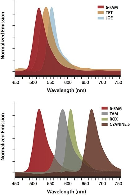 各种BHQ的独特性允许灵活选择光谱良好分辨的报告染料