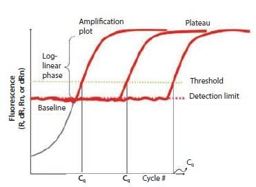 The components of amplification plots