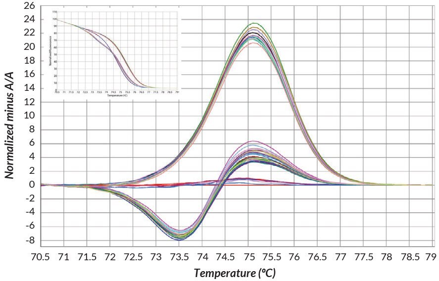 DNA extracts were prepared from buccal swabs obtained from 36 individuals using KAPA Express Extract DNA Extraction Kits (according to recommended protocols).