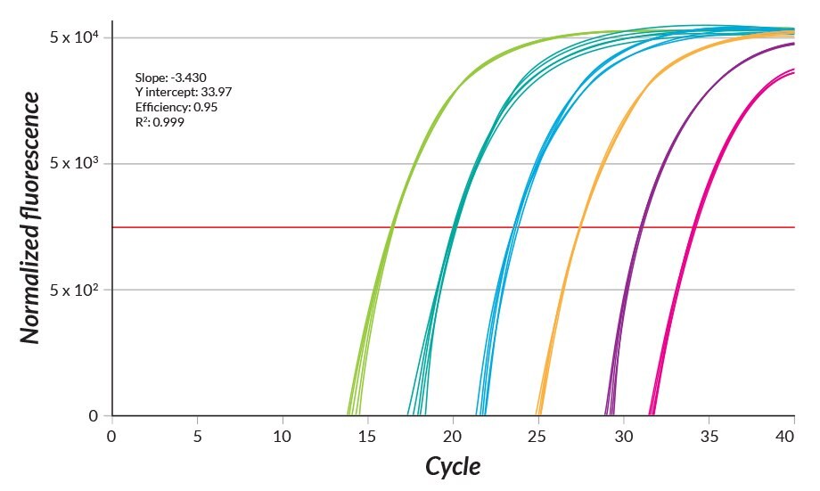 279 bp fragment amplified in replicates of 6 from a 10-fold dilution series of commercial MS2 bacteriophage RNA (80 pg to 0.8 fg per 20 μL reaction). Reaction efficiency of 95% calculated for all 6 replicates per data.