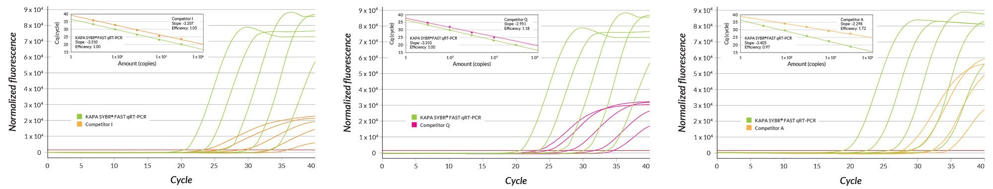 RRMI gene