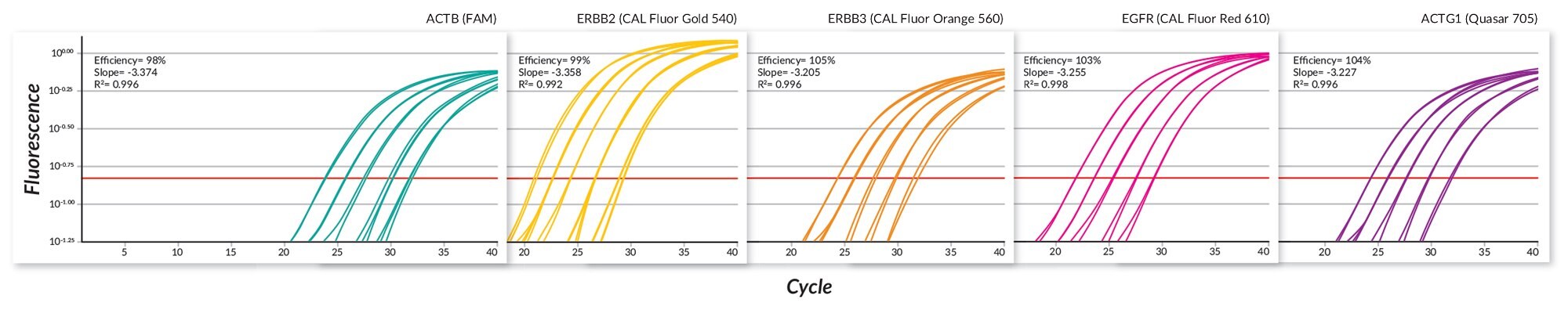 Results for all 5 amplicons across a 5 point dilution series were obtained when assayed in penta-plex using a fast cycling protocol.