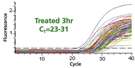 Primer Library for Arabidopsis Real-time RT-PCR amplification of all 96 selected genes in pathogen treated and untreated Arabidopsis leaves