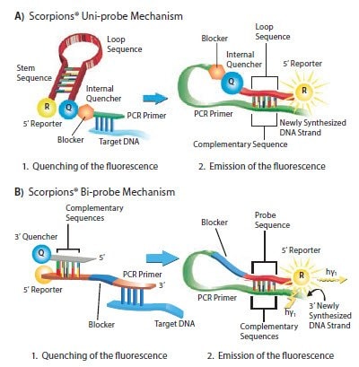 scorpions-uni-probe-mechanism Mechanism of Scorpions® Probes