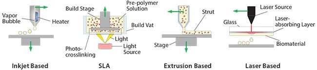 3D printing process for the manufacturing of soft materials for cell encapsulation. 3D printing process for the manufacturing of soft materials for cell encapsulation.