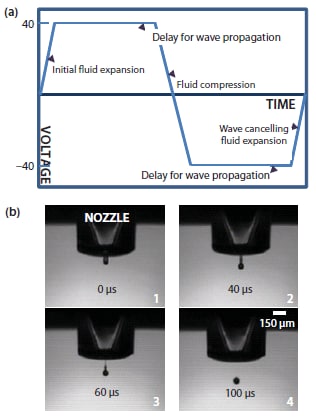 Piezo Inkjet