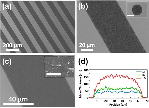 Morphology of inkjet printed graphene features on HMDS-treated Si/SiO2