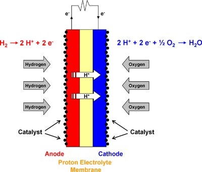 components and electrochemical reactions in a PEM fuel cell.