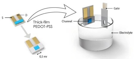 OECT hydrogen peroxide sensor An OECT hydrogen peroxide sensor showing the use of photo paper as the substrate