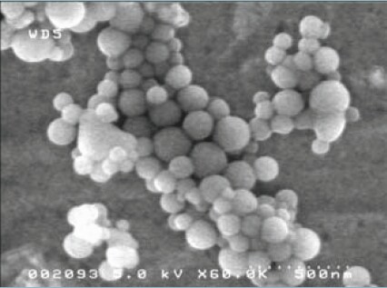 Hydroxyapatite Nanopowder