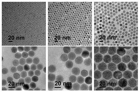 20 nm diameter iron oxide