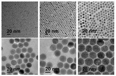 TEM images of 20 nm diameter Iron Oxide Nanoparticles Transmission Electron Microscopy (TEM) images showing six panels of Iron Oxide Nanoparticles with a diameter of 20 nanometers. Each panel displays a different magnification and arrangement, revealing the spherical shape and uniform size of the nanoparticles. The scale bar in each image indicates 20 nm, confirming the consistency of particle size across the various images.