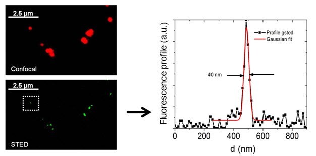 confocal-and-super-resolution-figure-3 Confocal and Super Resolution