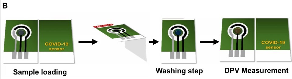 Design and the detection procedure using paper-based electrochemical immunosensor dedicated to detection of SARS-CoV-2. Steps go from sample loading, device assembly by folding, washing step and DPV measurement 