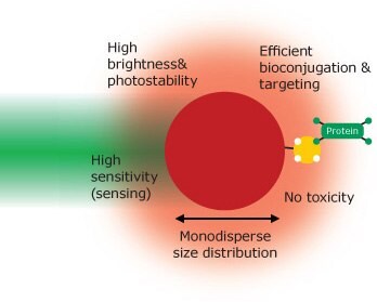 The properties of an ‘ideal’ fluorescent nanomaterial.