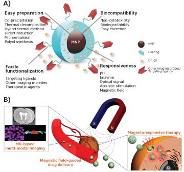 Magnetic nanoparticles (MNP)