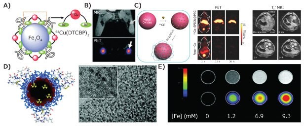 MRI-Positron emission tomography (PET)