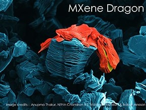 all MRS 2022 Science as Art winning image depicting a dragon made from MXene as viewed by SEM