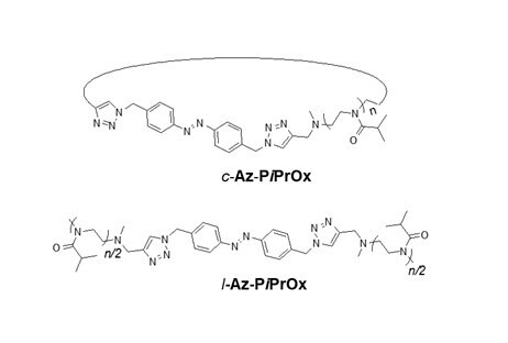 Structures of l-Az-PiPrOx and c-Az-PiPrOx