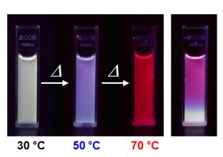 Emission color changes of Dye-PiPrOx mixture systems C&F