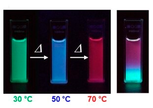 Emission color changes of Dye-PiPrOx mixture systems D&G