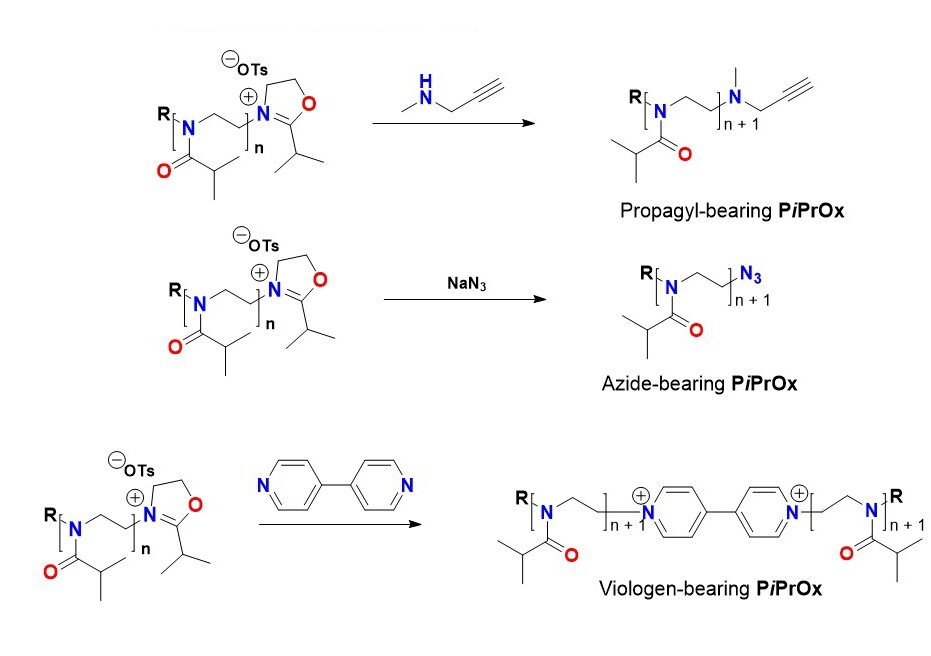 preparation and modification of PiPrOxs 2 Illustration of the functionalization of termination end of PiPrOx