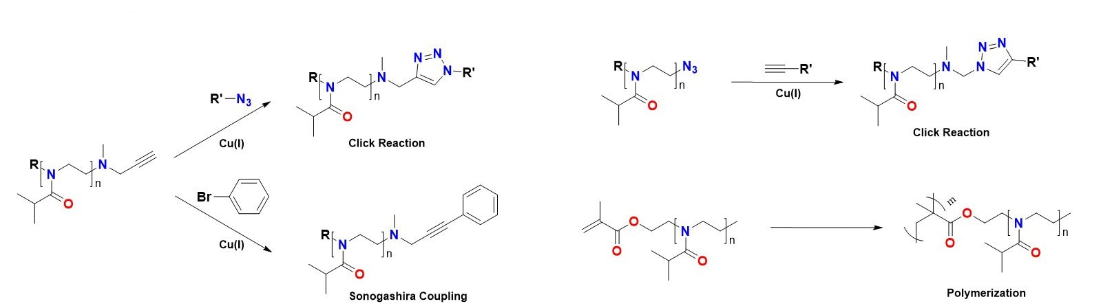 Illustration of the modification of functional groups of PiPrOx