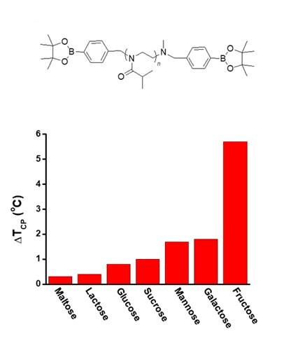 Structure of B-PiPrOx-B with TCP changes