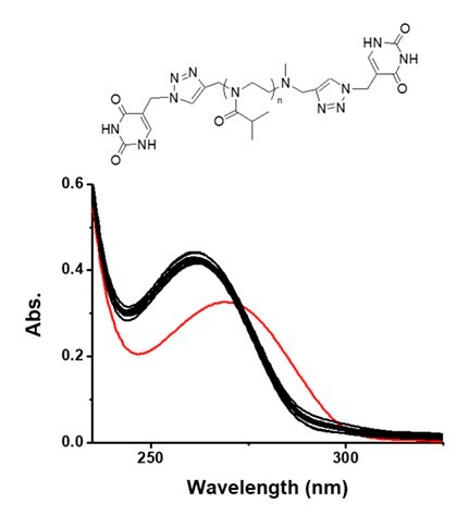 Structure of U-PiPrOx-U with UV-Vis absorption changes upon