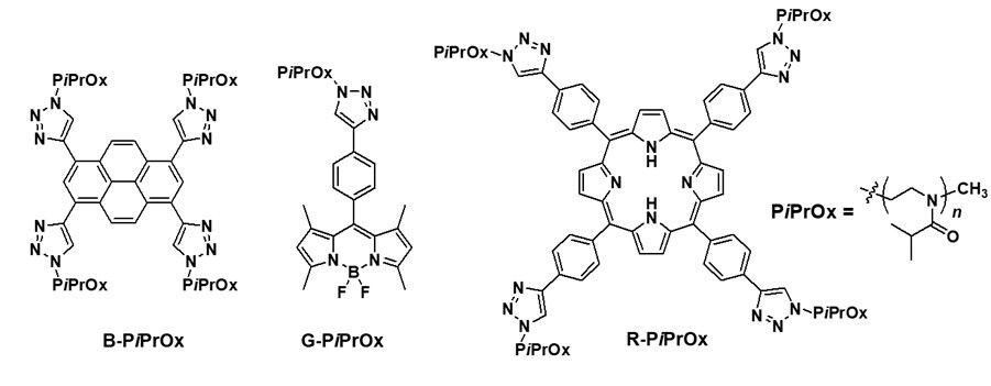 Structures of Dye-PiPrOxs Structures of Dye-PiPrOxs