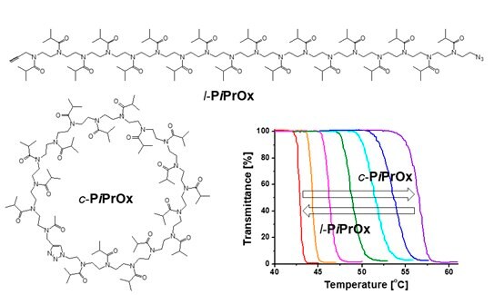 l-PiPrOx and c-PiPrOx structures with temperature-dependent transmittance changes