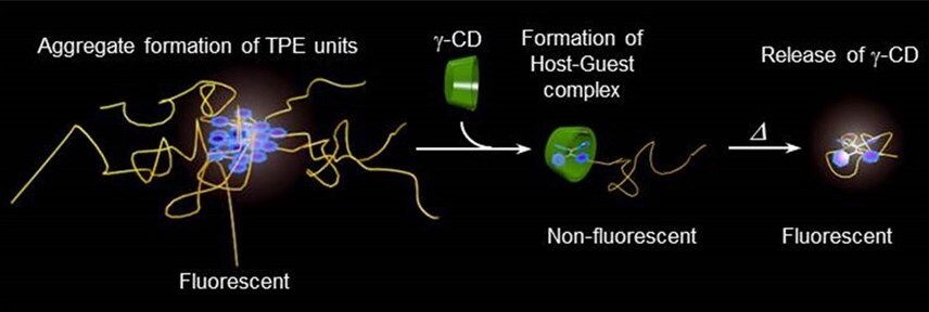 Transitions of TPE-PiPrOx host-guest complex of the TPE-PiPrOx with γ-CD and thermal transition