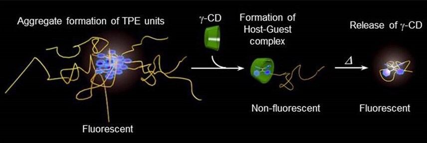 host-guest complex of the TPE-PiPrOx with γ-CD and thermal transition