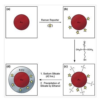 Schematic illustration of the core−shell nanoparticle structure