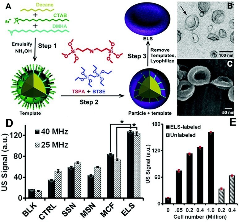 Schematic of the novel ELS nanoparticles prepared via an emulsion template method. 