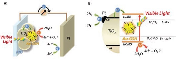 Schematic of the working principle