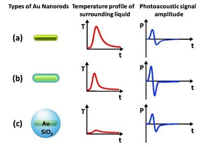 Schematic summary of the proposed thermal transport processes