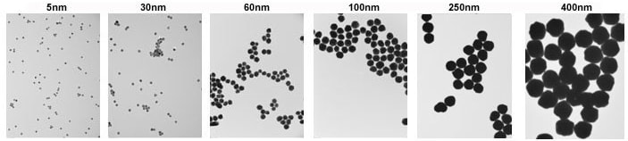 5 nm (左) 和400 nm (右) 纳米金颗粒TEM图<8% CV